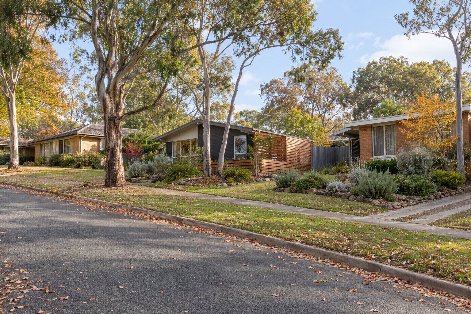 Carpenter, Belconnen: a quiet street of low brick and dark-clad houses under tall gum trees, with timber slat screening and a fence behind native front gardens