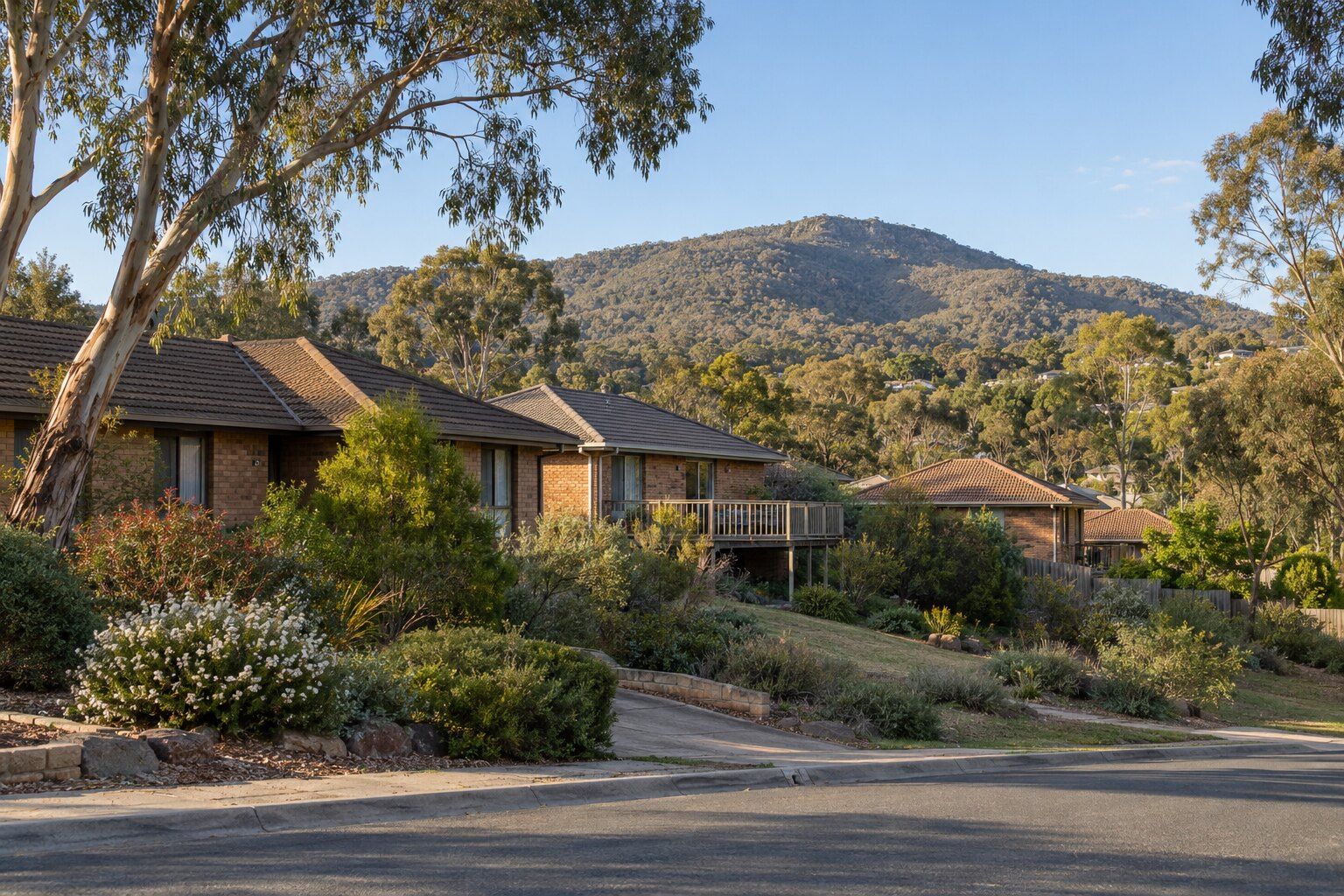 Carpenter, Tuggeranong: brick houses on a sloping street under gum trees, one with a raised timber deck, below a bush-covered hill in late afternoon light
